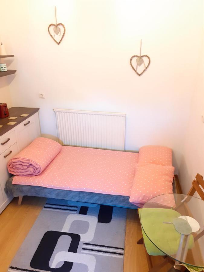 Apartmán Studio La Stefy Sibiu Exteriér fotografie
